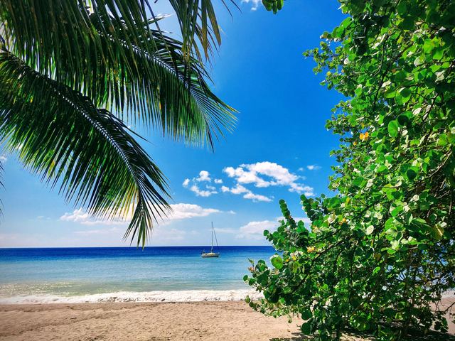 Ce qui pèse vraiment dans le budget d'une semaine en Guadeloupe Ce qui pèse vraiment dans le budget d'une semaine en Guadeloupe