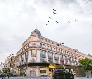 Conciergerie en Guadeloupe : services pour votre location