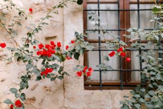 Gîte La Bougainvillée à Saint-François en Guadeloupe