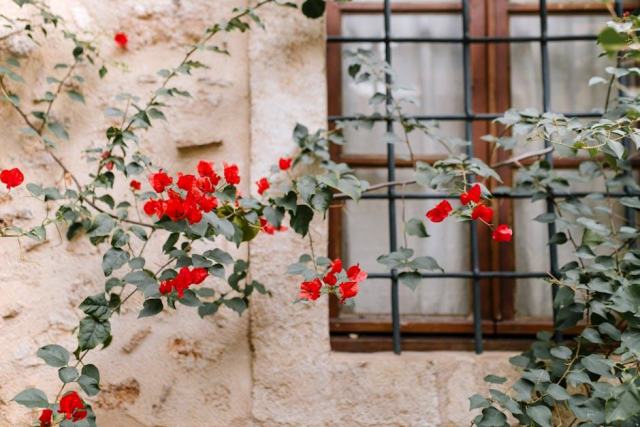 La Bougainvillée, gîte de charme à Saint-François en Guadeloupe