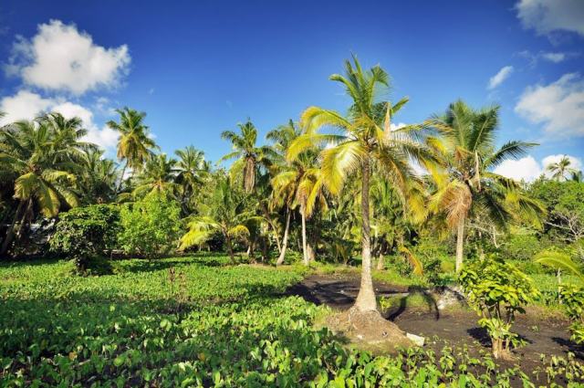 La résidence Sainte-Marthe pour un séjour en Guadeloupe