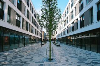 Smiley Vacances Guadeloupe : location voiture et séjour